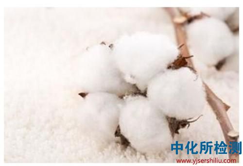 棉花檢測(cè)