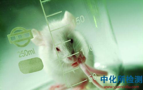 生物相容性檢測