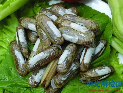 氯霉素測(cè)定