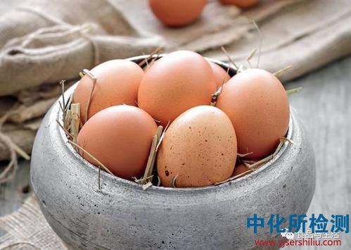 沙門(mén)氏菌檢測(cè)