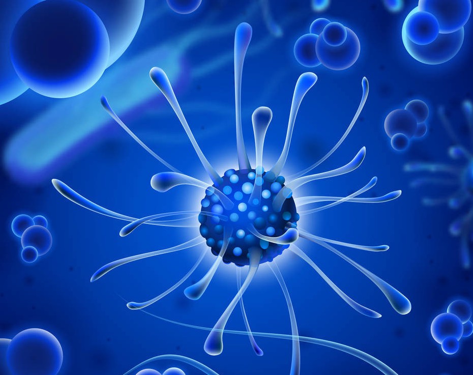 微生物檢測,微生物檢驗,微生物檢查,生物檢測 . 微生物檢測_第三方檢測機構