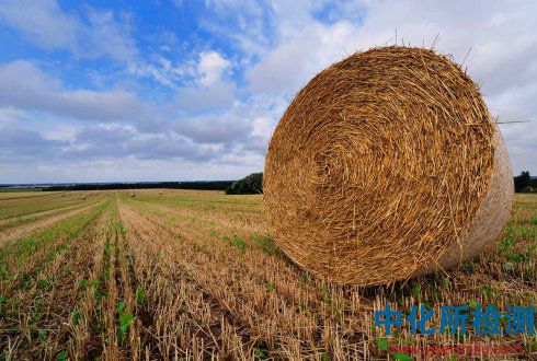木質(zhì)素 . 木質(zhì)素檢測(cè)