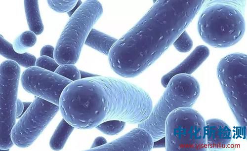 益生菌檢測(cè)