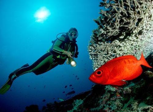 呼吸器檢測(cè)