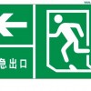 夜光PVC緊急出口標牌，經濟型夜光安全出口標牌，逃生通道標志