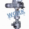 進口鍋爐給水調節閥